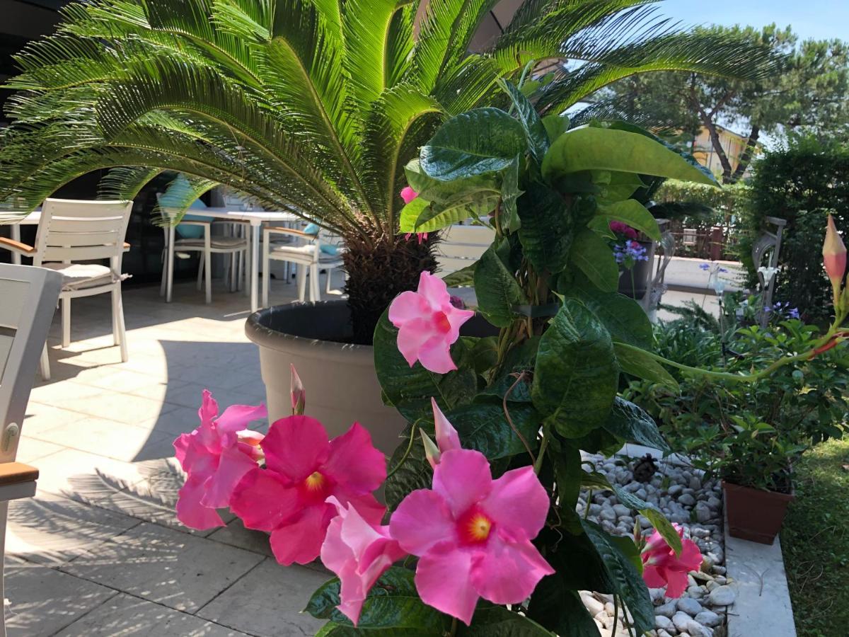 Sunset Apartment Σιρμιόνε Εξωτερικό φωτογραφία